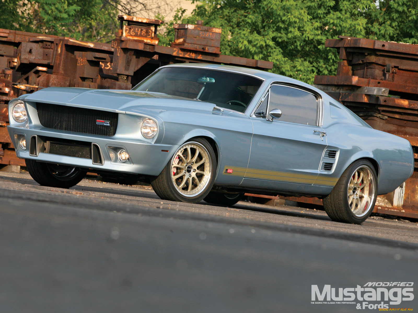 , mustang